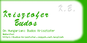 krisztofer budos business card